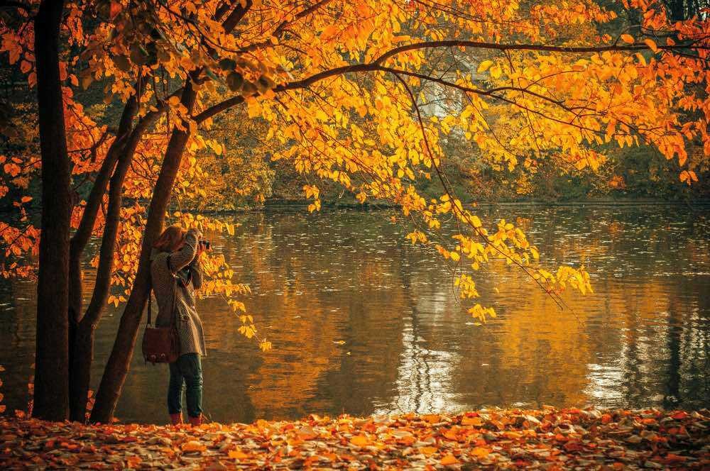 اضغط على الصورة لعرض أكبر. 

الإسم:	1697170322913.jpg 
مشاهدات:	14 
الحجم:	244.1 كيلوبايت 
الهوية:	169174