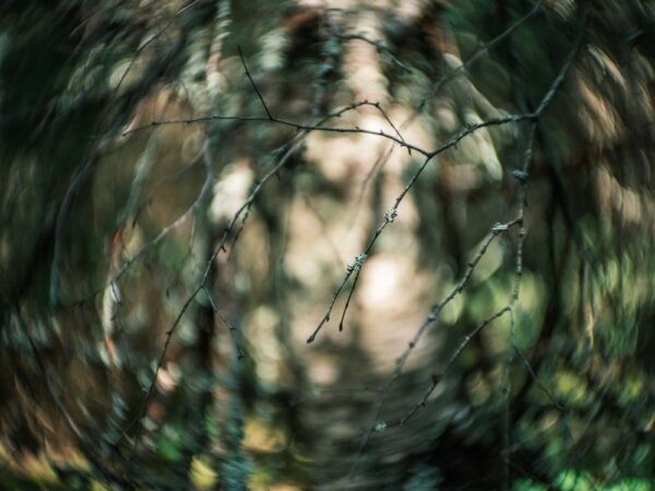 اضغط على الصورة لعرض أكبر. 

الإسم:	swirly-bokeh-effect-600x450.jpg 
مشاهدات:	11 
الحجم:	57.7 كيلوبايت 
الهوية:	173535