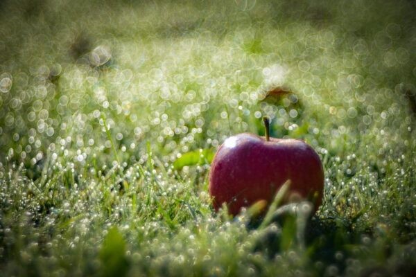 اضغط على الصورة لعرض أكبر. 

الإسم:	bubble-bokeh-600x400.jpg 
مشاهدات:	10 
الحجم:	68.3 كيلوبايت 
الهوية:	173538