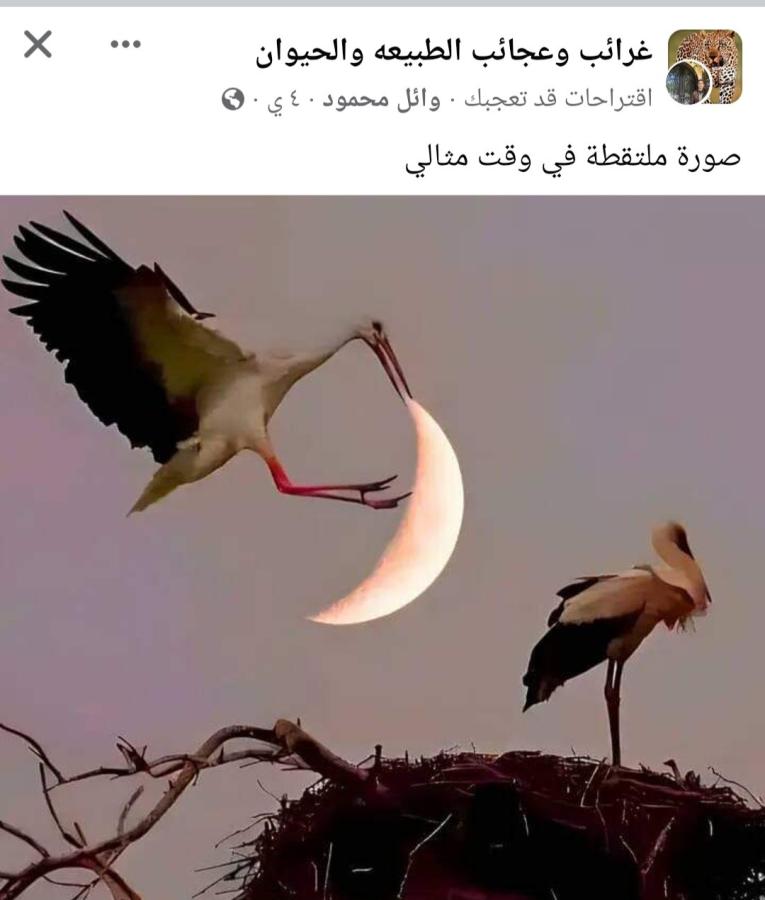 اضغط على الصورة لعرض أكبر. 

الإسم:	Screenshot_٢٠٢٤٠١١١-٢٠٥٦٣٧_Facebook.jpg 
مشاهدات:	30 
الحجم:	50.0 كيلوبايت 
الهوية:	185820