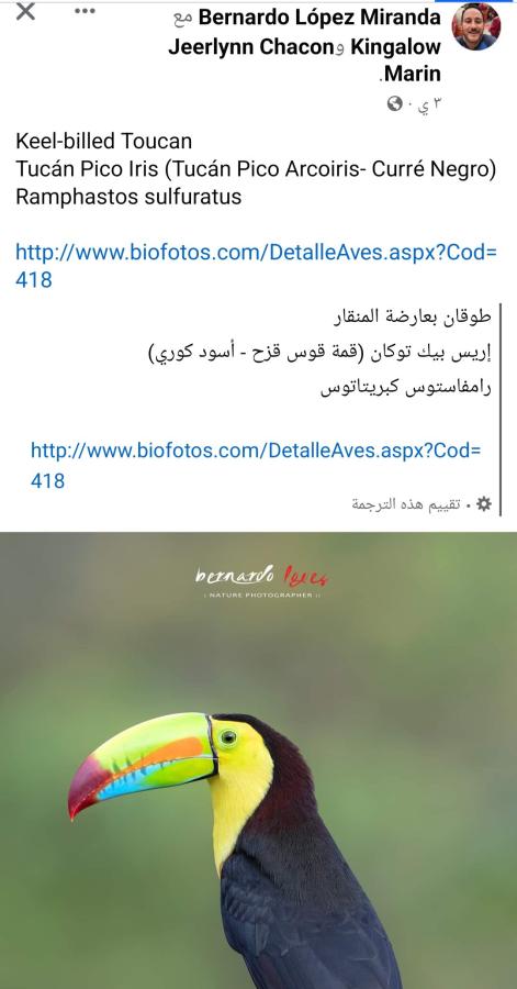 اضغط على الصورة لعرض أكبر. 

الإسم:	Screenshot_٢٠٢٤٠١١٢-٠٨١٦٣٠_Facebook.jpg 
مشاهدات:	9 
الحجم:	45.0 كيلوبايت 
الهوية:	185901