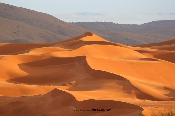 اضغط على الصورة لعرض أكبر. 

الإسم:	FB_IMG_1708034978064.jpg 
مشاهدات:	11 
الحجم:	33.5 كيلوبايت 
الهوية:	191502