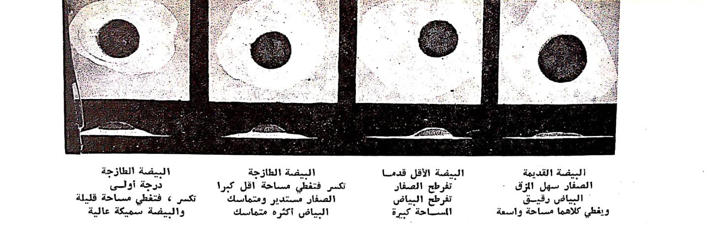 اضغط على الصورة لعرض أكبر.   الإسم:	CamScanner ١٩-٠٢-٢٠٢٤ ٠٩.٥٦_1.jpg  مشاهدات:	0  الحجم:	123.9 كيلوبايت  الهوية:	192133