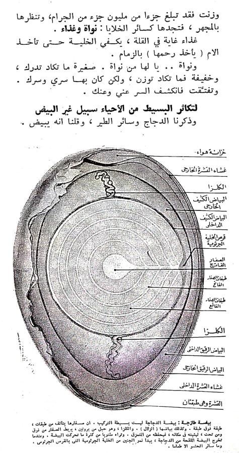 اضغط على الصورة لعرض أكبر.   الإسم:	CamScanner ١٩-٠٢-٢٠٢٤ ٠٩.٥٦_1(2).jpg  مشاهدات:	0  الحجم:	118.7 كيلوبايت  الهوية:	192134