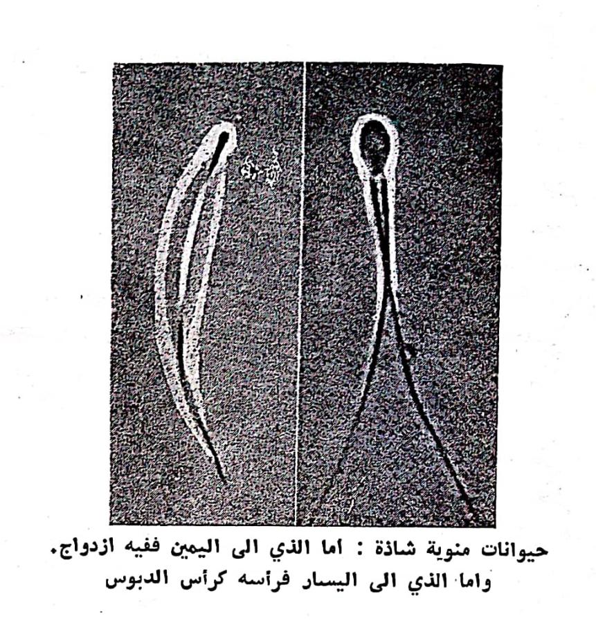 اضغط على الصورة لعرض أكبر. 

الإسم:	CamScanner ١٩-٠٢-٢٠٢٤ ١٢.٠٤_1.jpg 
مشاهدات:	9 
الحجم:	175.0 كيلوبايت 
الهوية:	192347