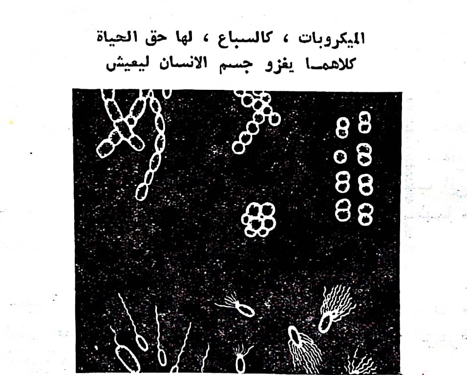 اضغط على الصورة لعرض أكبر. 

الإسم:	مستند جديد ١٩-٠٢-٢٠٢٤ ١٢.٤٩_1(2).jpg 
مشاهدات:	9 
الحجم:	139.8 كيلوبايت 
الهوية:	192521