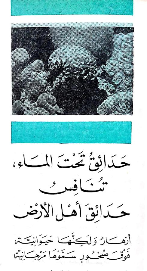 اضغط على الصورة لعرض أكبر. 

الإسم:	مستند جديد ١٩-٠٢-٢٠٢٤ ٢٠.٢٤_1.jpg 
مشاهدات:	11 
الحجم:	97.7 كيلوبايت 
الهوية:	192710