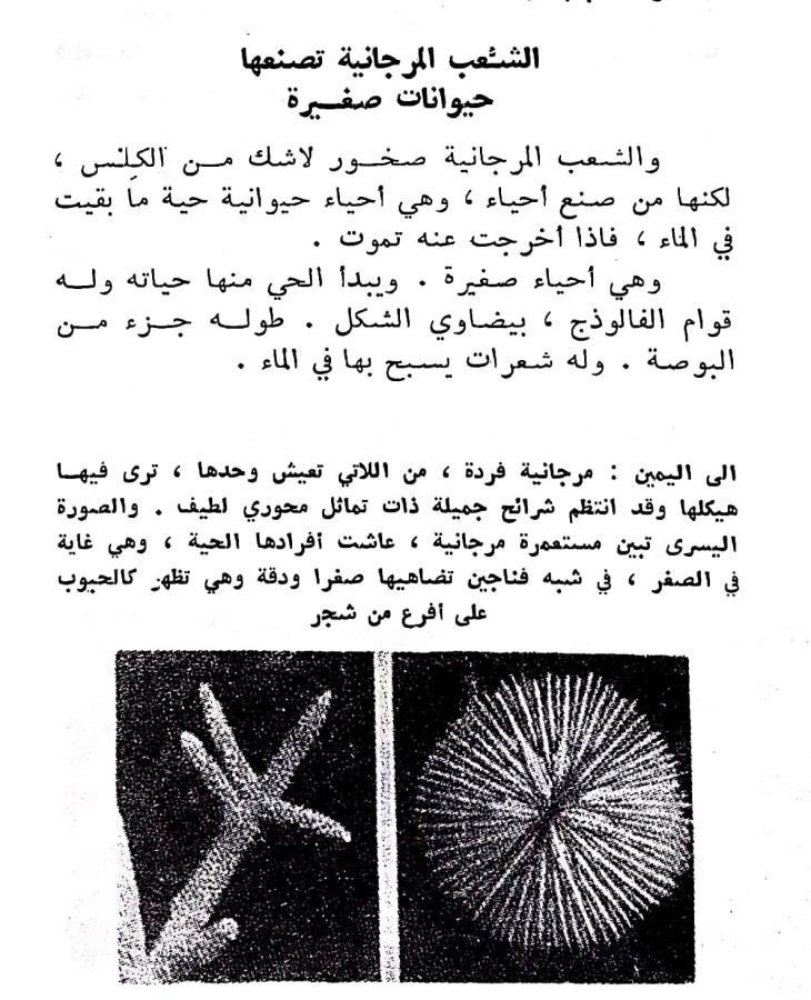 اضغط على الصورة لعرض أكبر. 

الإسم:	مستند جديد ١٩-٠٢-٢٠٢٤ ٢٠.٣١_1(2).jpg 
مشاهدات:	10 
الحجم:	112.8 كيلوبايت 
الهوية:	192717