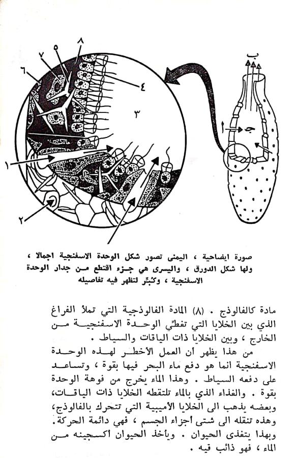 اضغط على الصورة لعرض أكبر. 

الإسم:	مستند جديد ١٩-٠٢-٢٠٢٤ ٢١.٠٩_1(2).jpg 
مشاهدات:	10 
الحجم:	92.2 كيلوبايت 
الهوية:	192728