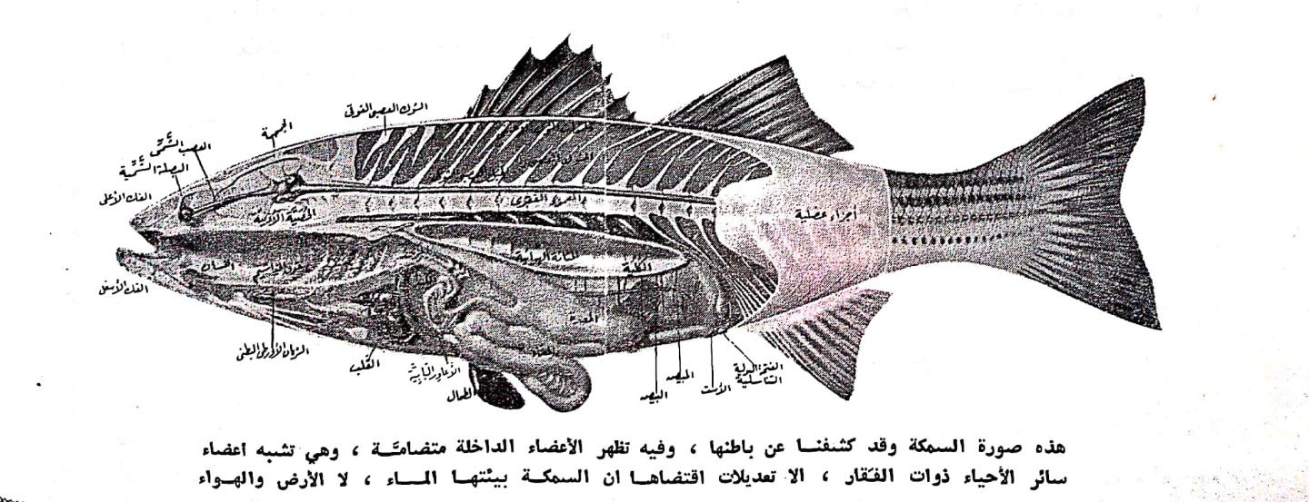 اضغط على الصورة لعرض أكبر. 

الإسم:	مستند جديد ١٩-٠٢-٢٠٢٤ ٢١.٣٢_1(5).jpg 
مشاهدات:	14 
الحجم:	160.7 كيلوبايت 
الهوية:	192754