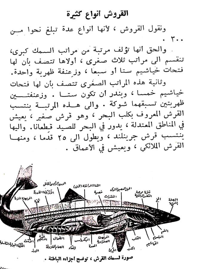 اضغط على الصورة لعرض أكبر. 

الإسم:	مستند جديد ٢٢-٠٢-٢٠٢٤ ١٣.٢٤_1(4).jpg 
مشاهدات:	11 
الحجم:	99.7 كيلوبايت 
الهوية:	192827