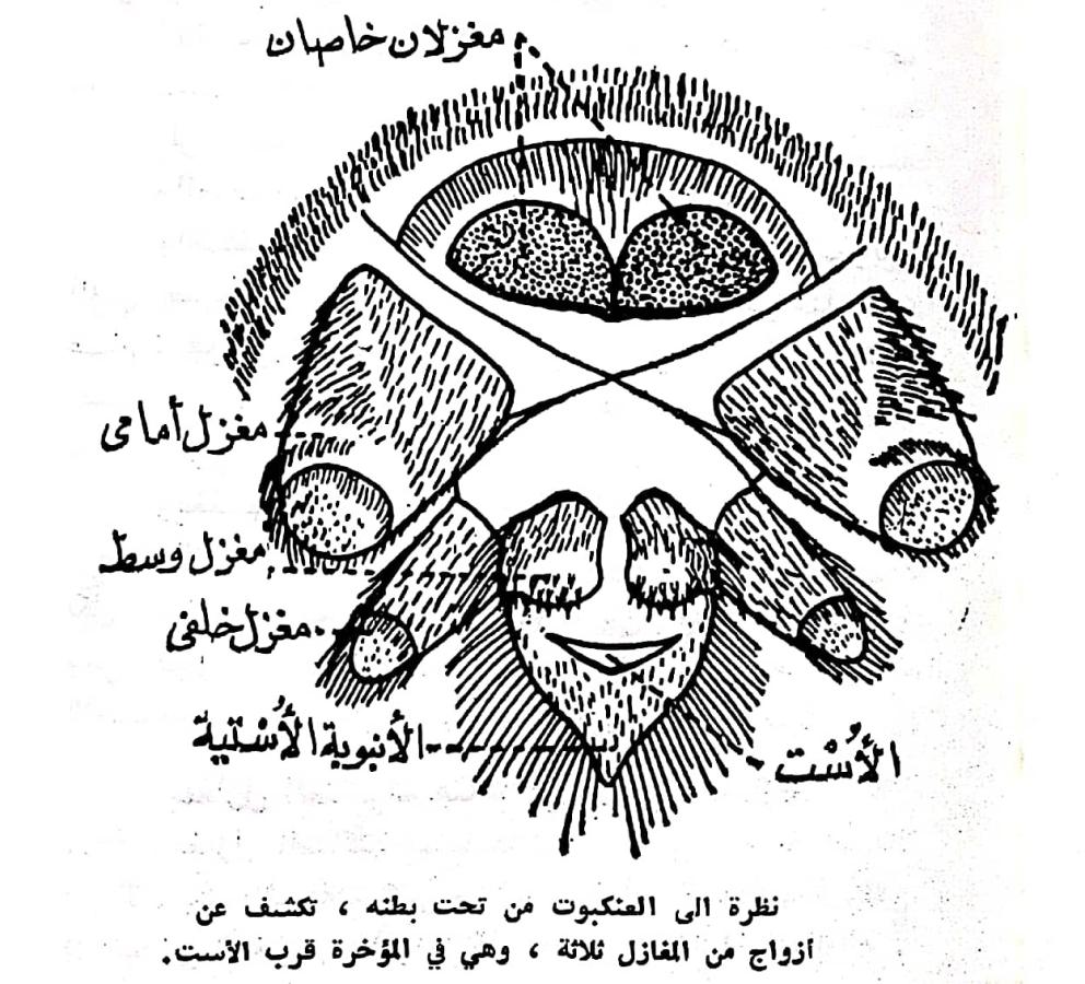 اضغط على الصورة لعرض أكبر.   الإسم:	مستند جديد ٢٢-٠٢-٢٠٢٤ ١٤.٥٤_1(2).jpg  مشاهدات:	0  الحجم:	165.4 كيلوبايت  الهوية:	193005