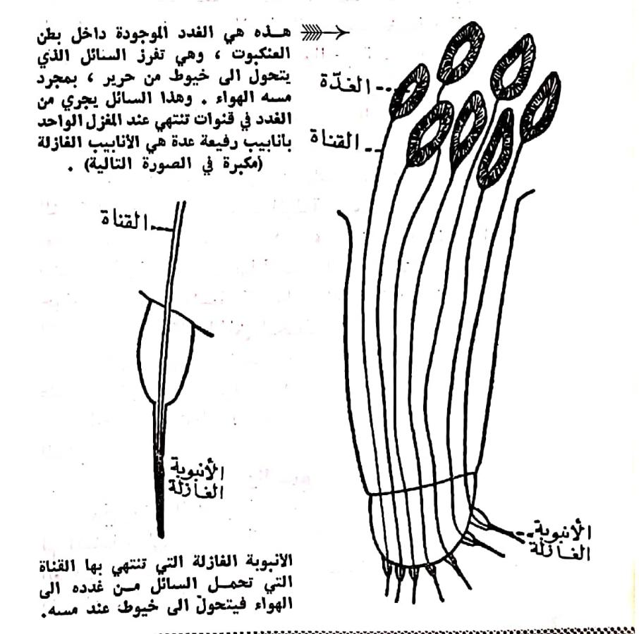 اضغط على الصورة لعرض أكبر. 

الإسم:	مستند جديد ٢٢-٠٢-٢٠٢٤ ١٥.٠٧_1(2).jpg 
مشاهدات:	9 
الحجم:	98.5 كيلوبايت 
الهوية:	193011