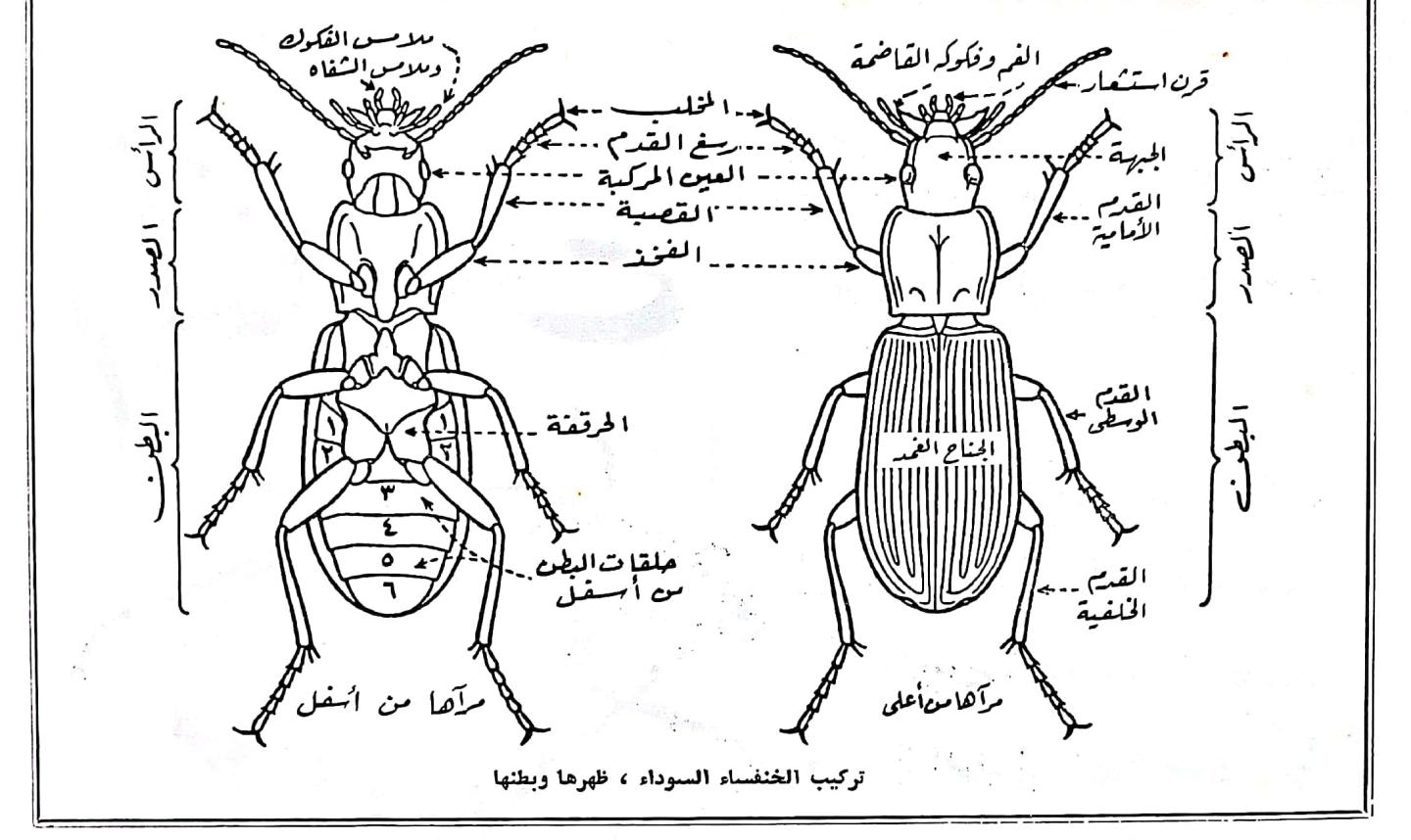 اضغط على الصورة لعرض أكبر. 

الإسم:	مستند جديد ٢٢-٠٢-٢٠٢٤ ١٥.٤٤_1.jpg 
مشاهدات:	10 
الحجم:	148.8 كيلوبايت 
الهوية:	193048