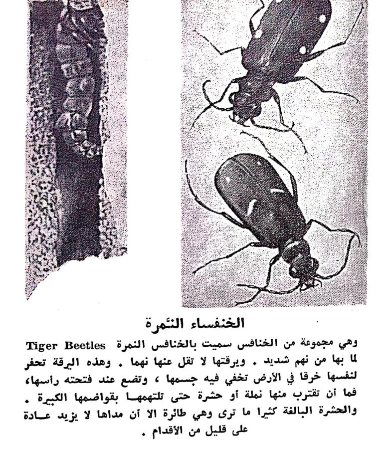 اضغط على الصورة لعرض أكبر. 

الإسم:	مستند جديد ٢٢-٠٢-٢٠٢٤ ١٥.٤٨_1(2).jpg 
مشاهدات:	9 
الحجم:	179.6 كيلوبايت 
الهوية:	193054