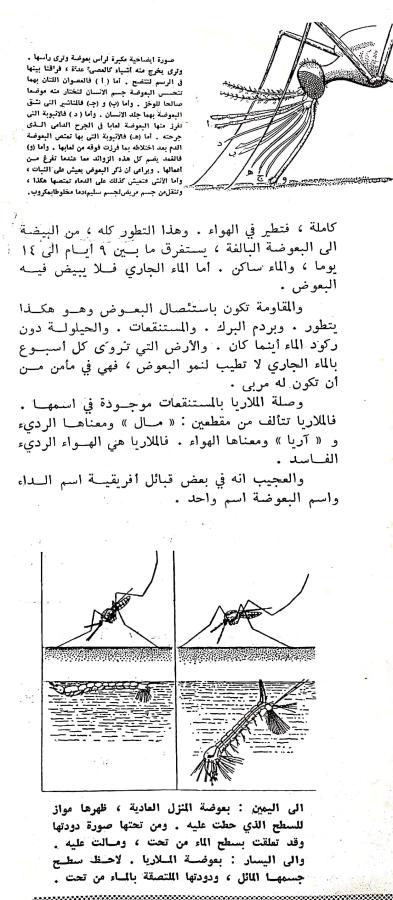 اضغط على الصورة لعرض أكبر.   الإسم:	مستند جديد ٢٧-٠٢-٢٠٢٤ ١٥.٢٢_1(2).jpg  مشاهدات:	0  الحجم:	76.4 كيلوبايت  الهوية:	193148