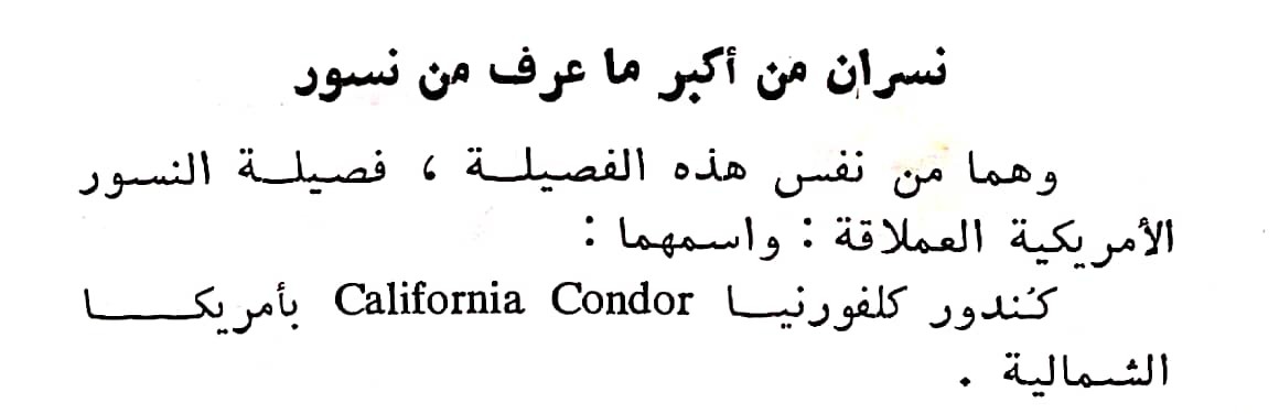 اضغط على الصورة لعرض أكبر.   الإسم:	مستند جديد ٢٧-٠٢-٢٠٢٤ ٢٢.٠٥_1(2).jpg  مشاهدات:	0  الحجم:	44.9 كيلوبايت  الهوية:	193160