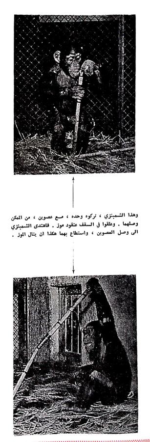 اضغط على الصورة لعرض أكبر.   الإسم:	مستند جديد ٢٩-٠٢-٢٠٢٤ ٠٠.٤٦_1(2).jpg  مشاهدات:	0  الحجم:	73.0 كيلوبايت  الهوية:	193470