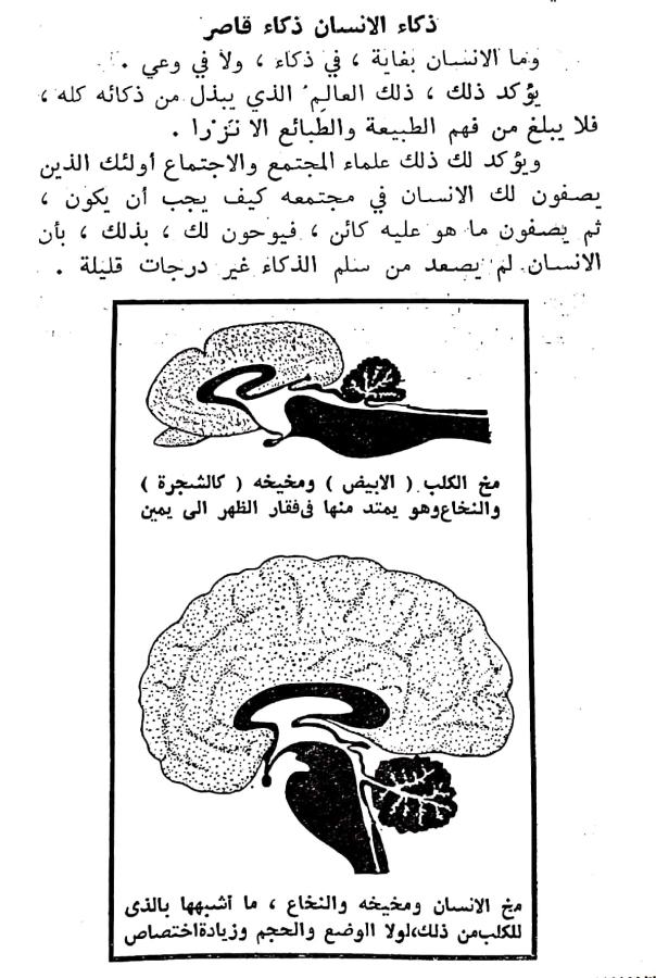 اضغط على الصورة لعرض أكبر.   الإسم:	مستند جديد ٢٩-٠٢-٢٠٢٤ ٠١.٣٢_1(3).jpg  مشاهدات:	0  الحجم:	95.2 كيلوبايت  الهوية:	193491