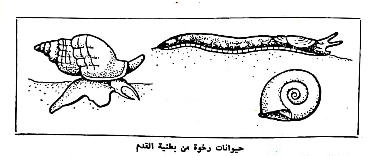 اضغط على الصورة لعرض أكبر. 

الإسم:	مستند جديد ٢٩-٠٢-٢٠٢٤ ١٨.٣٥_1(2).jpg 
مشاهدات:	9 
الحجم:	88.9 كيلوبايت 
الهوية:	193502