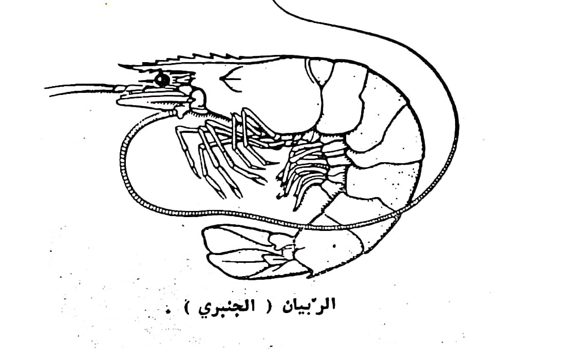 اضغط على الصورة لعرض أكبر.   الإسم:	مستند جديد ٢٩-٠٢-٢٠٢٤ ١٨.٤٨_1(5).jpg  مشاهدات:	0  الحجم:	91.5 كيلوبايت  الهوية:	193523