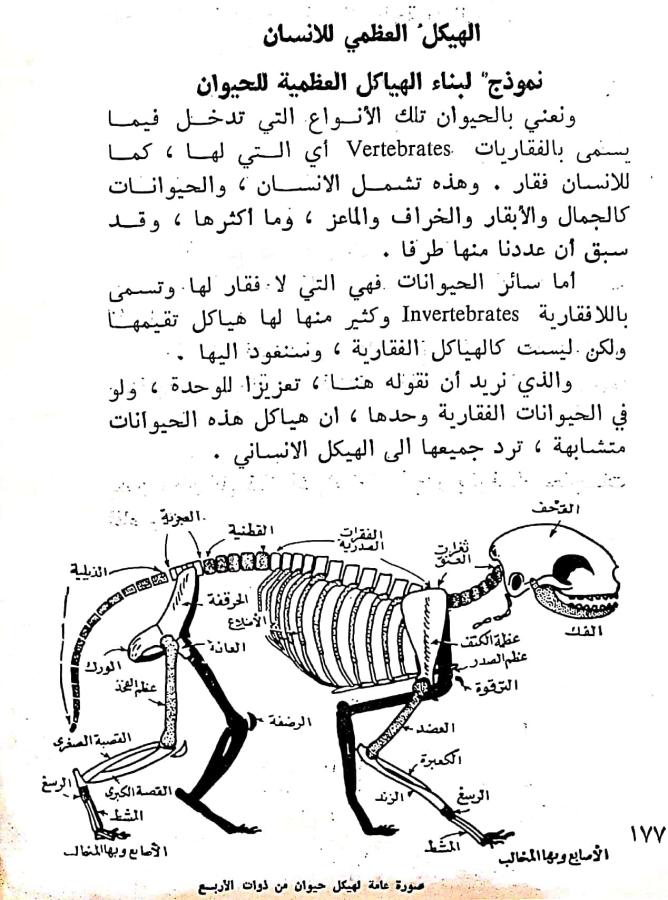 اضغط على الصورة لعرض أكبر. 

الإسم:	مستند جديد ٢٩-٠٢-٢٠٢٤ ١٩.١١_1(4).jpg 
مشاهدات:	9 
الحجم:	101.8 كيلوبايت 
الهوية:	193595