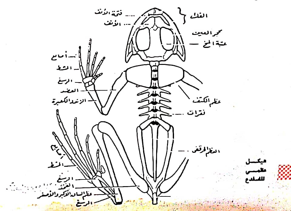 اضغط على الصورة لعرض أكبر.   الإسم:	مستند جديد ٢٩-٠٢-٢٠٢٤ ١٩.١٣_1(2).jpg  مشاهدات:	0  الحجم:	111.8 كيلوبايت  الهوية:	193599