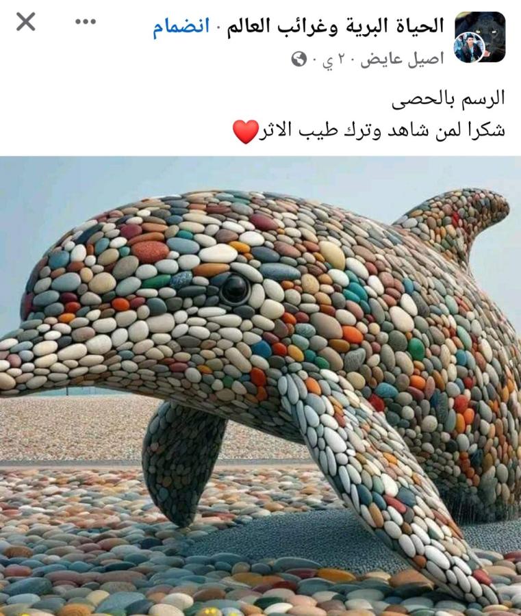 اضغط على الصورة لعرض أكبر. 

الإسم:	Screenshot_٢٠٢٤٠٣٠٤-١٦٠٨٢٠_Facebook.jpg 
مشاهدات:	9 
الحجم:	118.0 كيلوبايت 
الهوية:	193929