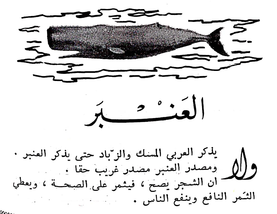 اضغط على الصورة لعرض أكبر. 

الإسم:	مستند جديد ٢٩-٠٢-٢٠٢٤ ٢١.٠٩_1(4).jpg 
مشاهدات:	11 
الحجم:	141.9 كيلوبايت 
الهوية:	194366