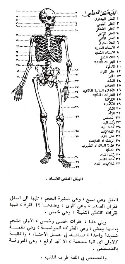 اضغط على الصورة لعرض أكبر. 

الإسم:	مستند جديد ٠٣-٠٣-٢٠٢٤ ٠٩.٣٩_1(3).jpg 
مشاهدات:	10 
الحجم:	71.6 كيلوبايت 
الهوية:	194393