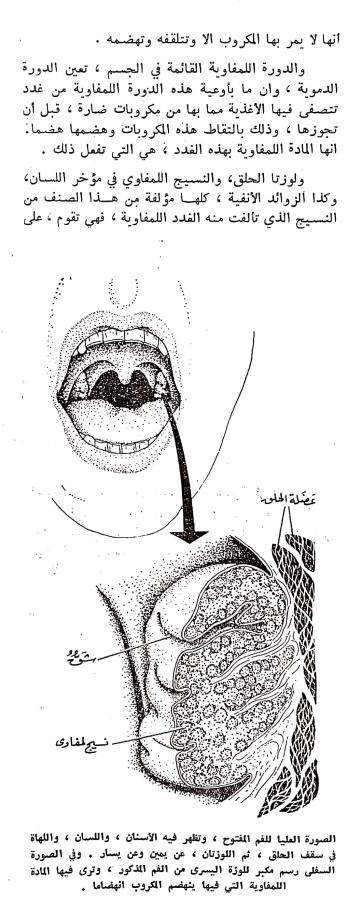 اضغط على الصورة لعرض أكبر.   الإسم:	مستند جديد ٠٣-٠٣-٢٠٢٤ ١٠.١٠_1.jpg  مشاهدات:	0  الحجم:	70.8 كيلوبايت  الهوية:	194412