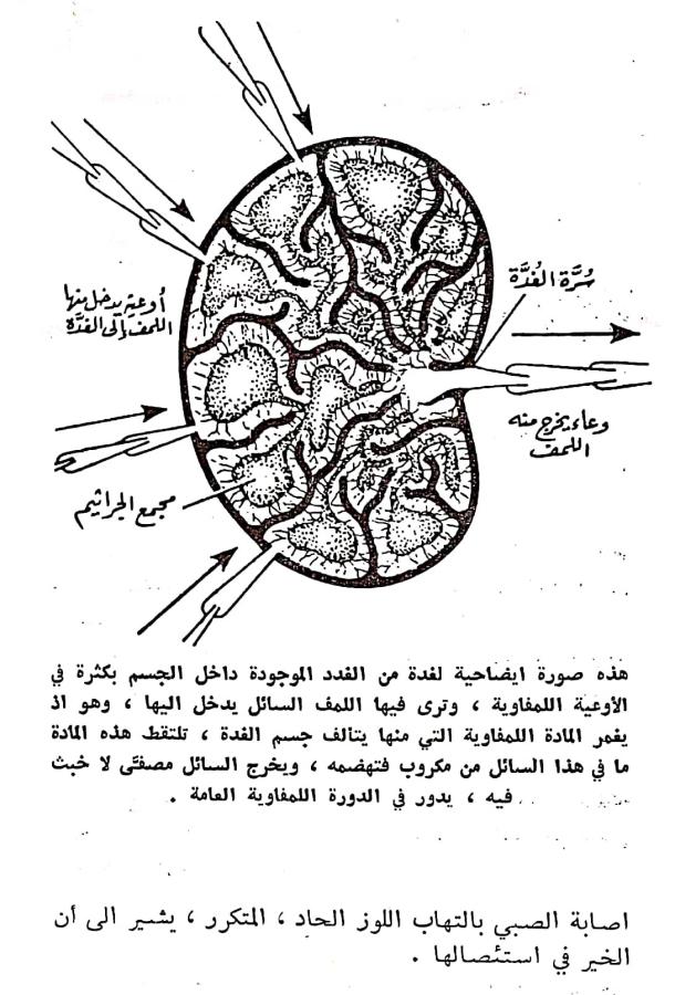 اضغط على الصورة لعرض أكبر. 

الإسم:	مستند جديد ٠٣-٠٣-٢٠٢٤ ١٠.١٤_1(3).jpg 
مشاهدات:	8 
الحجم:	94.2 كيلوبايت 
الهوية:	194419