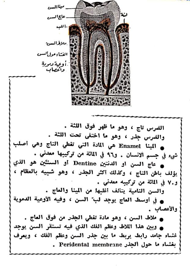 اضغط على الصورة لعرض أكبر. 

الإسم:	مستند جديد ٠٣-٠٣-٢٠٢٤ ١٠.١٨_1(5).jpg 
مشاهدات:	10 
الحجم:	96.8 كيلوبايت 
الهوية:	194427