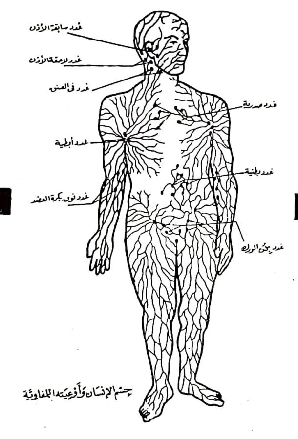 اضغط على الصورة لعرض أكبر. 

الإسم:	مستند جديد ٠٣-٠٣-٢٠٢٤ ١٠.٣٠_1(3).jpg 
مشاهدات:	9 
الحجم:	75.5 كيلوبايت 
الهوية:	194618