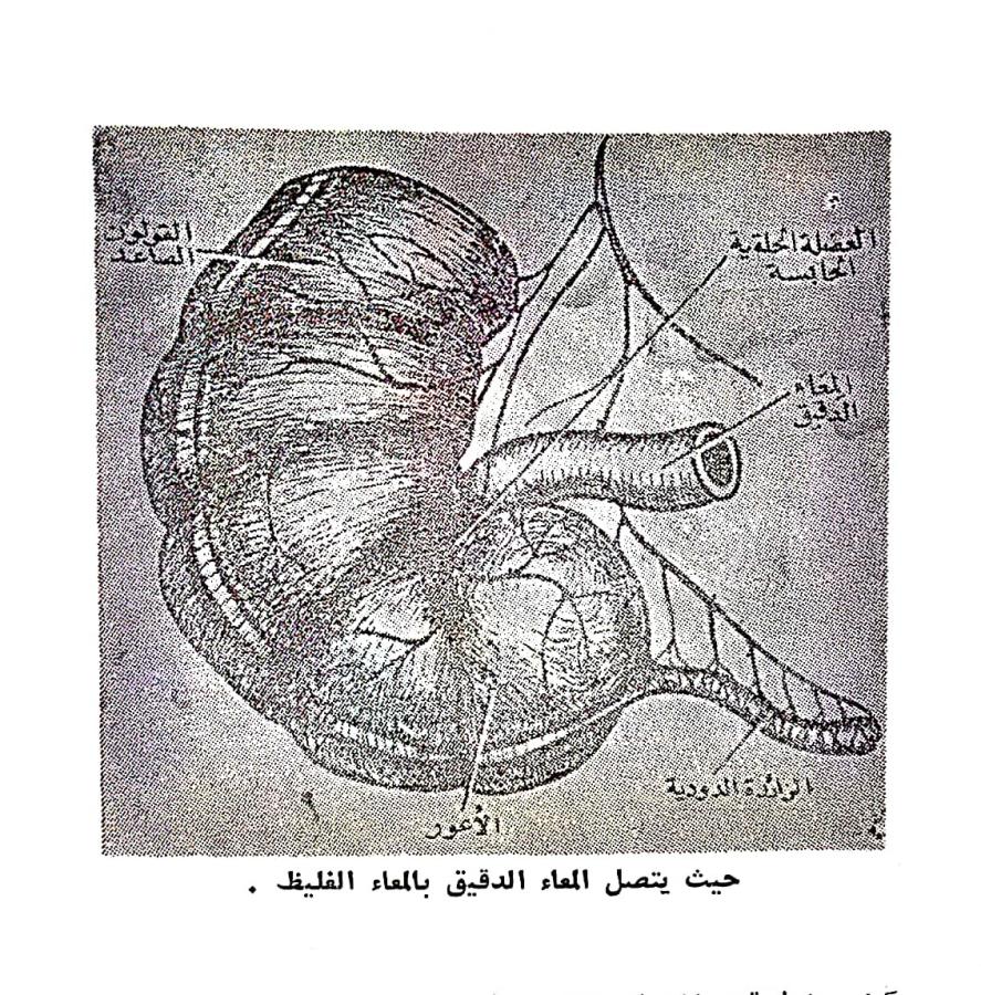 اضغط على الصورة لعرض أكبر. 

الإسم:	مستند جديد ٠٣-٠٣-٢٠٢٤ ١٠.٤٧_1(2).jpg 
مشاهدات:	10 
الحجم:	244.5 كيلوبايت 
الهوية:	194645