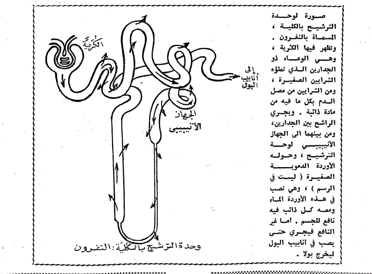 اضغط على الصورة لعرض أكبر. 

الإسم:	مستند جديد ٠٣-٠٣-٢٠٢٤ ١١.٠٧_1(3).jpg 
مشاهدات:	9 
الحجم:	119.6 كيلوبايت 
الهوية:	194688