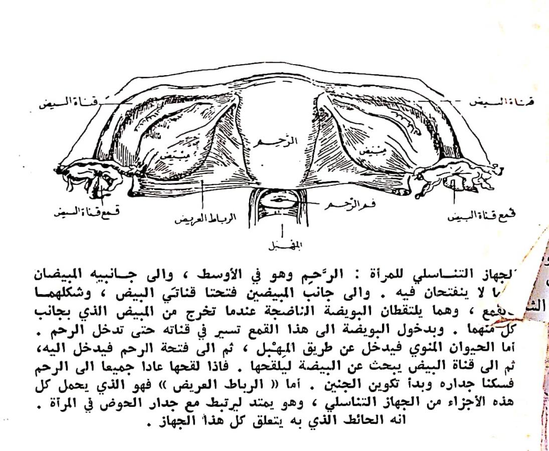 اضغط على الصورة لعرض أكبر. 

الإسم:	مستند جديد ٠٣-٠٣-٢٠٢٤ ٢٠.٤٢_1.jpg 
مشاهدات:	9 
الحجم:	145.9 كيلوبايت 
الهوية:	194694