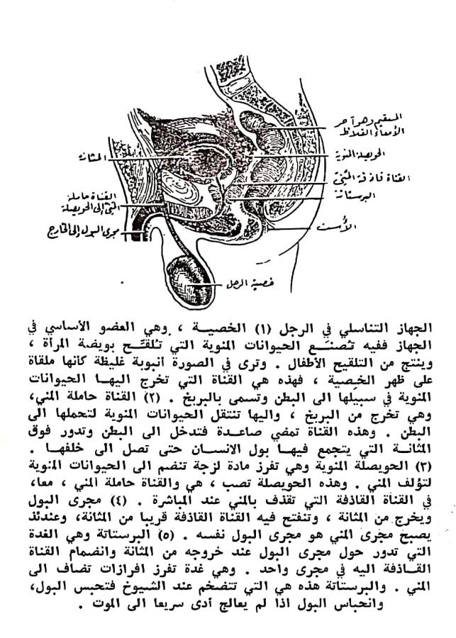 اضغط على الصورة لعرض أكبر. 

الإسم:	مستند جديد ٠٣-٠٣-٢٠٢٤ ٢١.٠٧_1(4).jpg 
مشاهدات:	9 
الحجم:	112.6 كيلوبايت 
الهوية:	194869