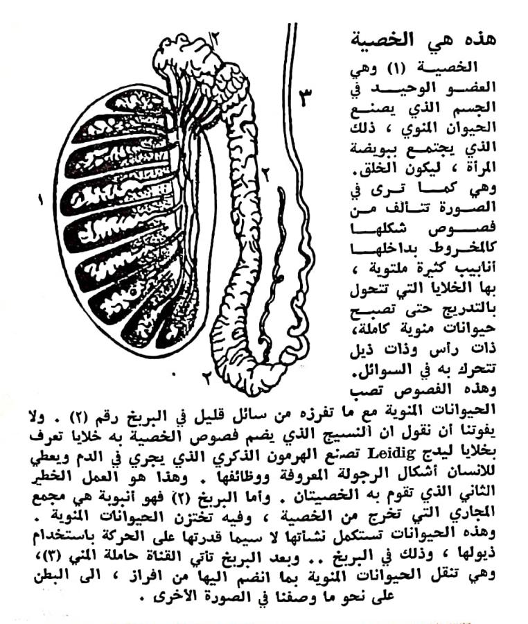 اضغط على الصورة لعرض أكبر. 

الإسم:	مستند جديد ٠٣-٠٣-٢٠٢٤ ٢١.٠٧_1(5).jpg 
مشاهدات:	9 
الحجم:	139.8 كيلوبايت 
الهوية:	194870