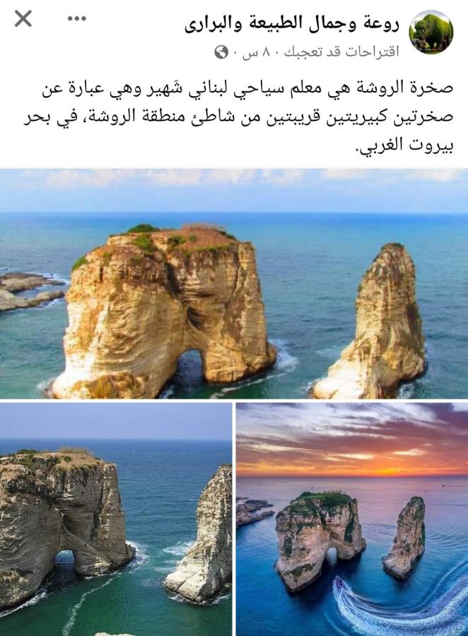 اضغط على الصورة لعرض أكبر. 

الإسم:	Screenshot_٢٠٢٤٠٣١٠-٠٢٠٦٥٢_Facebook.jpg 
مشاهدات:	14 
الحجم:	88.7 كيلوبايت 
الهوية:	195243