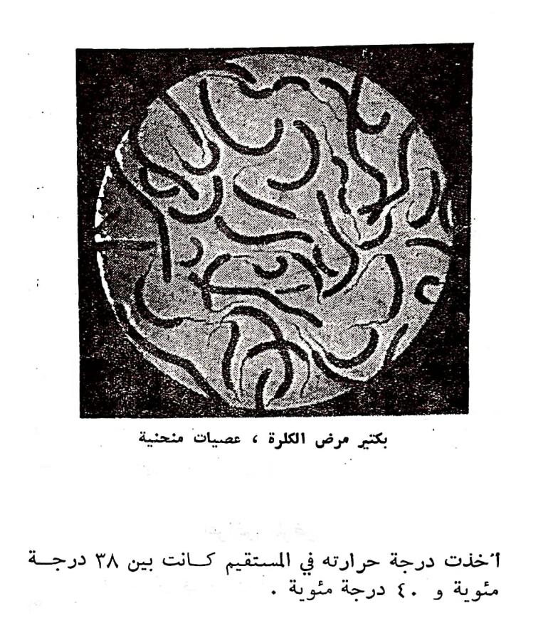 اضغط على الصورة لعرض أكبر. 

الإسم:	مستند جديد ٠٤-٠٣-٢٠٢٤ ٠٢.٢٠_1.jpg 
مشاهدات:	9 
الحجم:	139.4 كيلوبايت 
الهوية:	195401