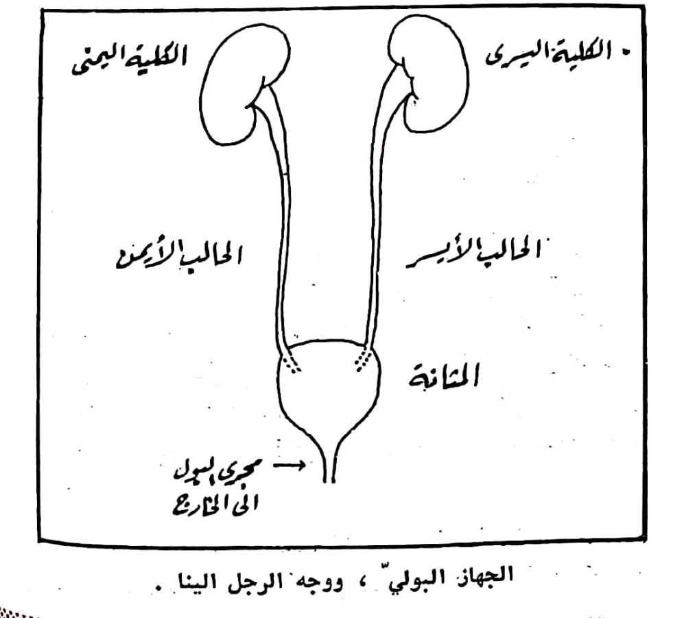 اضغط على الصورة لعرض أكبر. 

الإسم:	مستند جديد ٠٤-٠٣-٢٠٢٤ ٠٢.٣٤_1(4).jpg 
مشاهدات:	11 
الحجم:	58.4 كيلوبايت 
الهوية:	195416