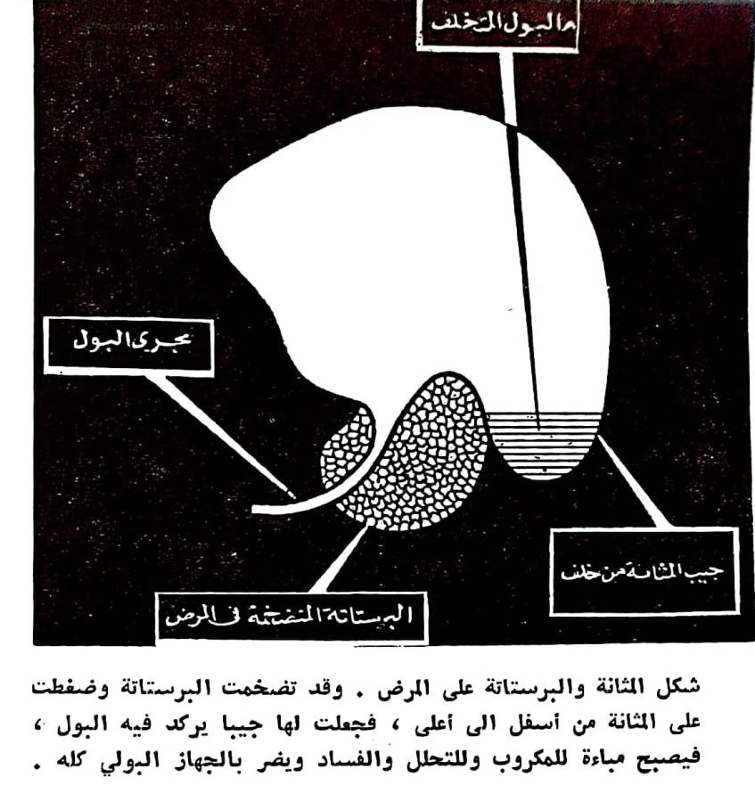 اضغط على الصورة لعرض أكبر. 

الإسم:	مستند جديد ٠٤-٠٣-٢٠٢٤ ٠٢.٤٥_1.jpg 
مشاهدات:	12 
الحجم:	94.6 كيلوبايت 
الهوية:	195422