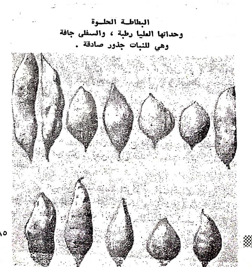 اضغط على الصورة لعرض أكبر. 

الإسم:	مستند جديد ١١-٠٣-٢٠٢٤ ٠٠.٥٥_1.jpg 
مشاهدات:	9 
الحجم:	201.0 كيلوبايت 
الهوية:	195750