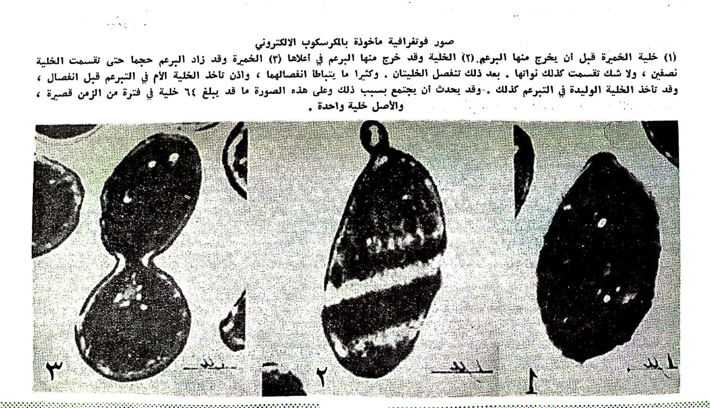 اضغط على الصورة لعرض أكبر. 

الإسم:	مستند جديد ١١-٠٣-٢٠٢٤ ٠١.٤٩_1(2).jpg 
مشاهدات:	10 
الحجم:	337.5 كيلوبايت 
الهوية:	195799