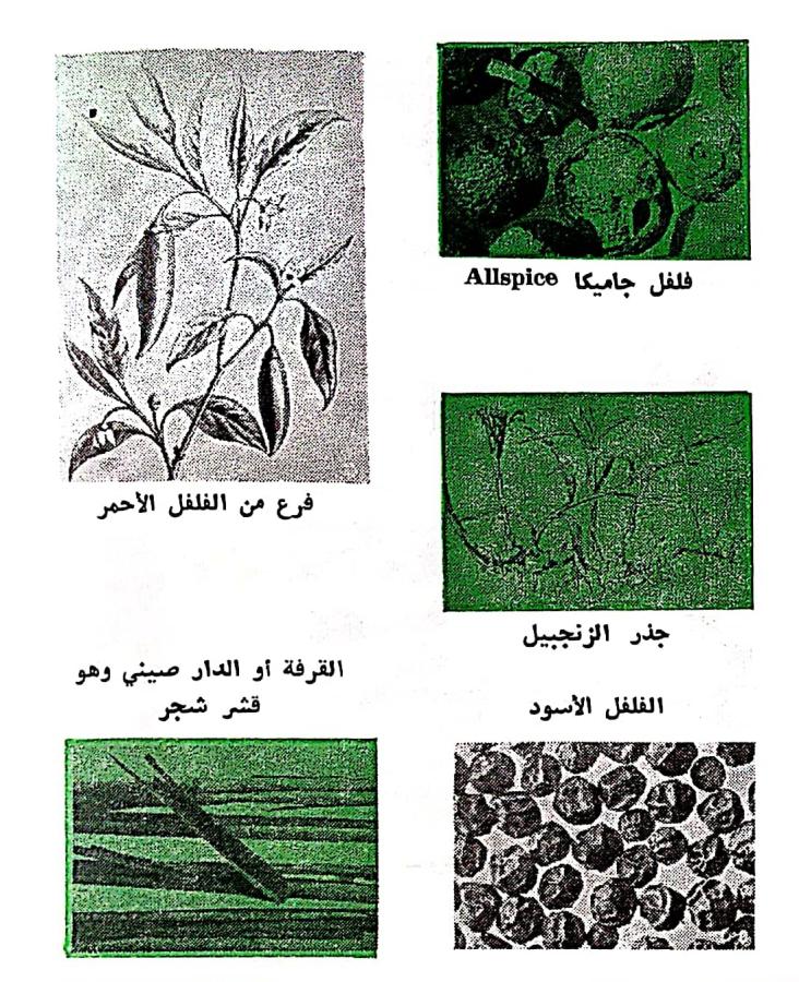 اضغط على الصورة لعرض أكبر. 

الإسم:	مستند جديد ١١-٠٣-٢٠٢٤ ٠٢.٢٠_1(5).jpg 
مشاهدات:	10 
الحجم:	166.5 كيلوبايت 
الهوية:	195821