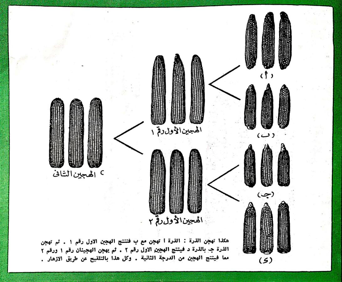 اضغط على الصورة لعرض أكبر. 

الإسم:	٢٠٢٤٠٣١١_٠٢٥٤٢٩.jpg 
مشاهدات:	10 
الحجم:	158.0 كيلوبايت 
الهوية:	196011