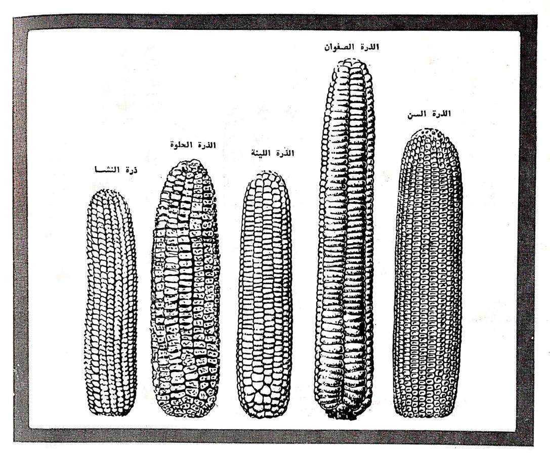 اضغط على الصورة لعرض أكبر. 

الإسم:	٢٠٢٤٠٣١١_٠٢٥٤٥٧.jpg 
مشاهدات:	10 
الحجم:	220.3 كيلوبايت 
الهوية:	196012