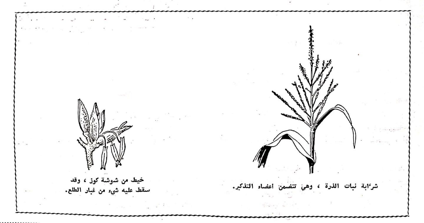 اضغط على الصورة لعرض أكبر. 

الإسم:	مستند جديد ١١-٠٣-٢٠٢٤ ٠٢.٥٦_1(3).jpg 
مشاهدات:	9 
الحجم:	77.2 كيلوبايت 
الهوية:	196017