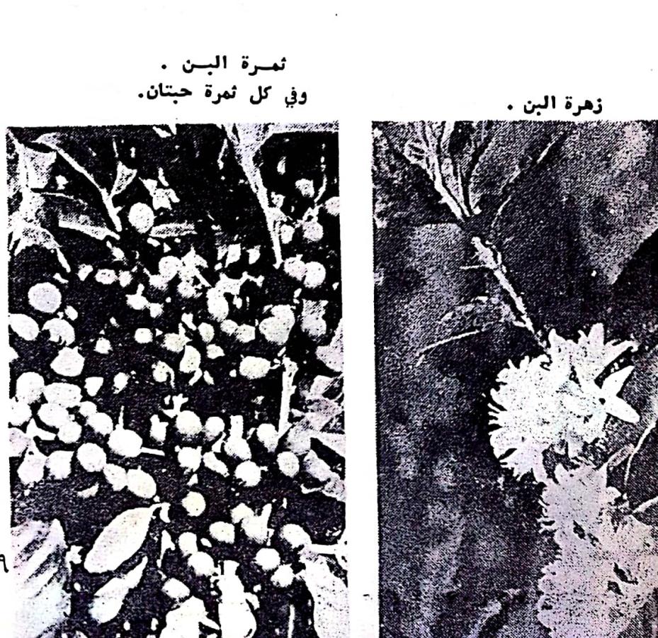 اضغط على الصورة لعرض أكبر. 

الإسم:	CamScanner ١٢-٠٣-٢٠٢٤ ١٩.٣٨_1(4).jpg 
مشاهدات:	9 
الحجم:	217.0 كيلوبايت 
الهوية:	196386